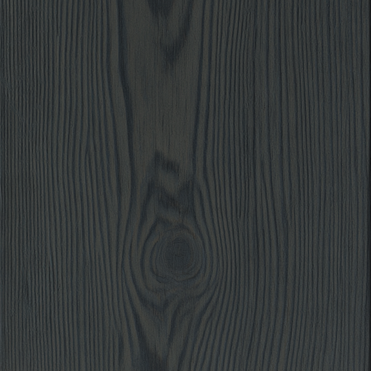 425. De Zwarte Ruiter